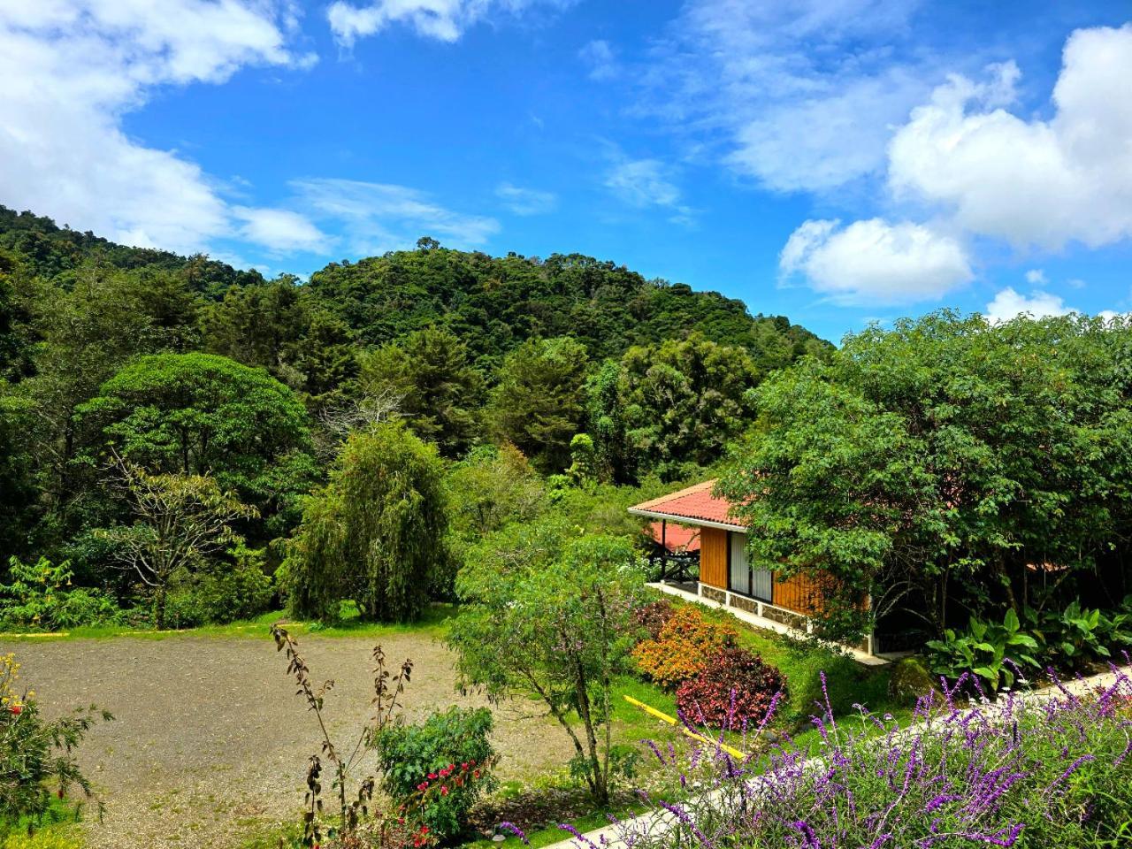 Hotel De Montana Suria San Gerardo de Dota Room photo
